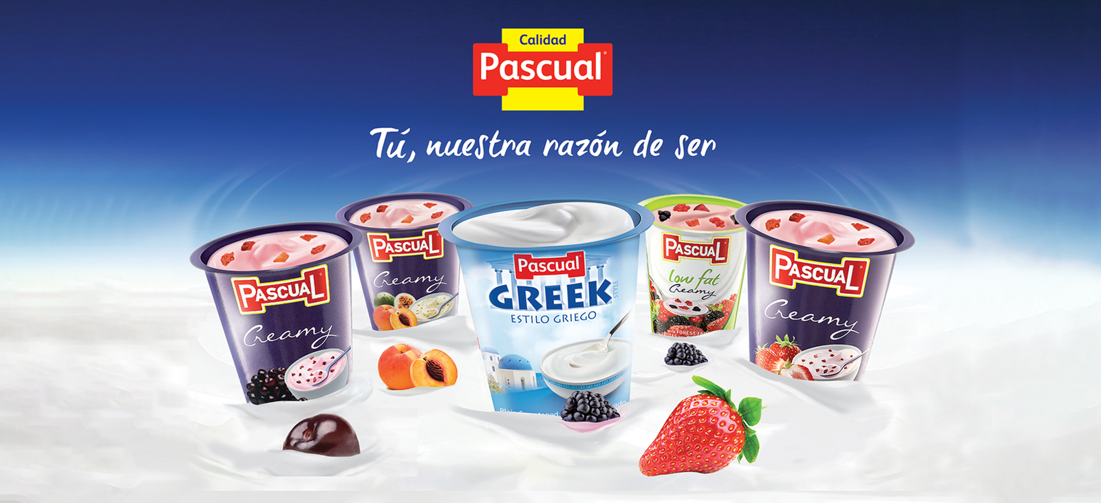 Promociones de  de Pascual